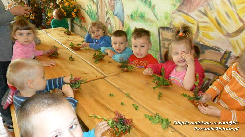 Pszczółki w Zagrodzie Pałuckiej w Gąsawie