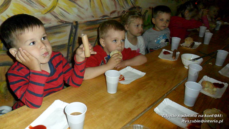 Pszczółki w Zagrodzie Pałuckiej w Gąsawie