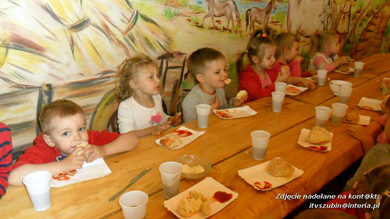 Pszczółki w Zagrodzie Pałuckiej w Gąsawie