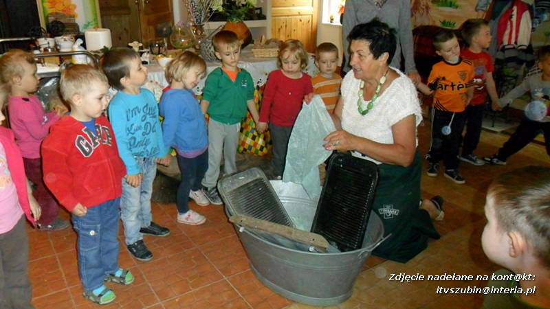 Pszczółki w Zagrodzie Pałuckiej w Gąsawie