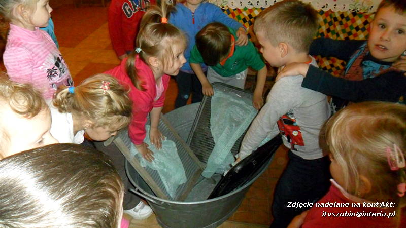 Pszczółki w Zagrodzie Pałuckiej w Gąsawie