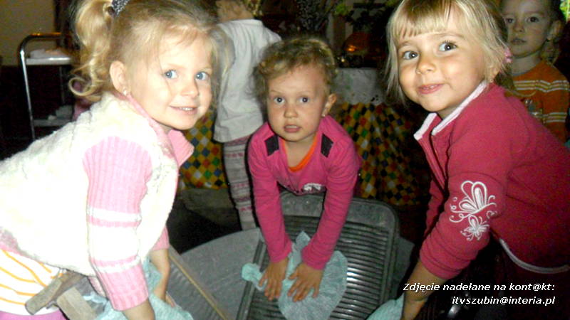 Pszczółki w Zagrodzie Pałuckiej w Gąsawie