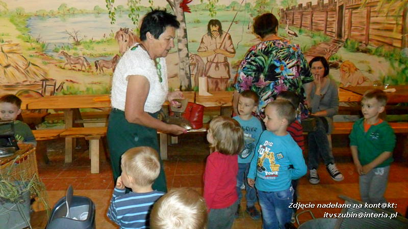 Pszczółki w Zagrodzie Pałuckiej w Gąsawie