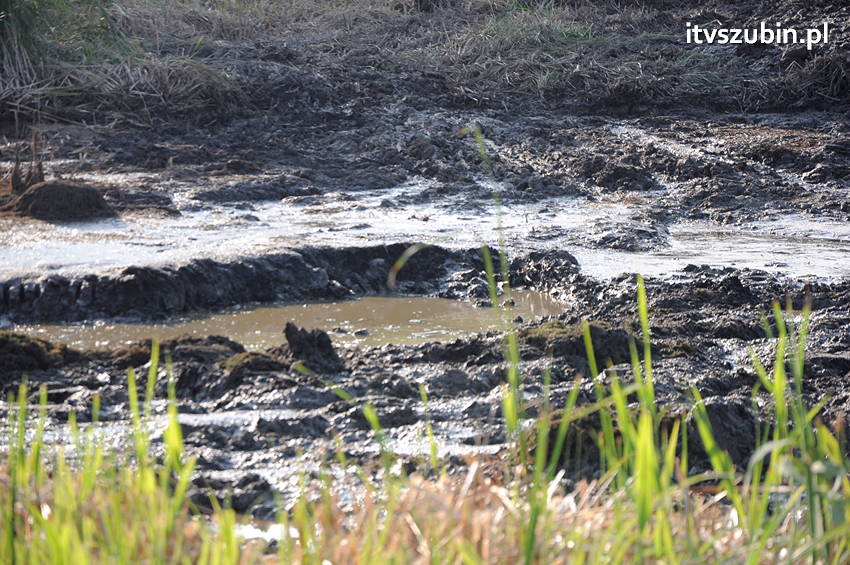Koparką natrafił na trzy pociski