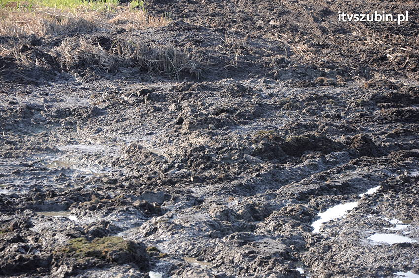 Koparką natrafił na trzy pociski