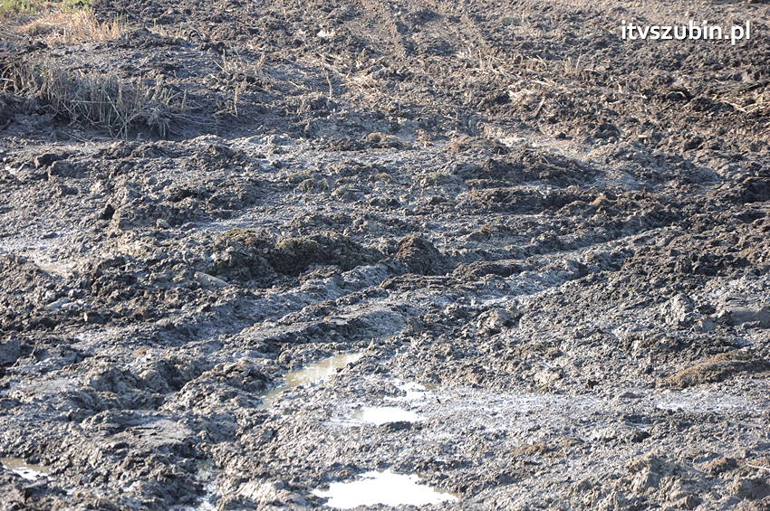 Koparką natrafił na trzy pociski