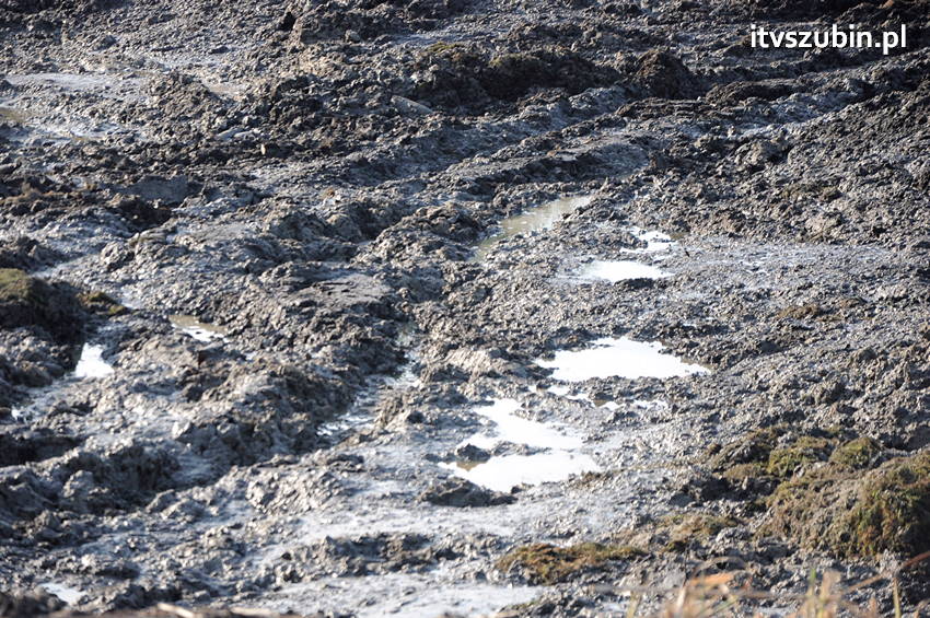 Koparką natrafił na trzy pociski