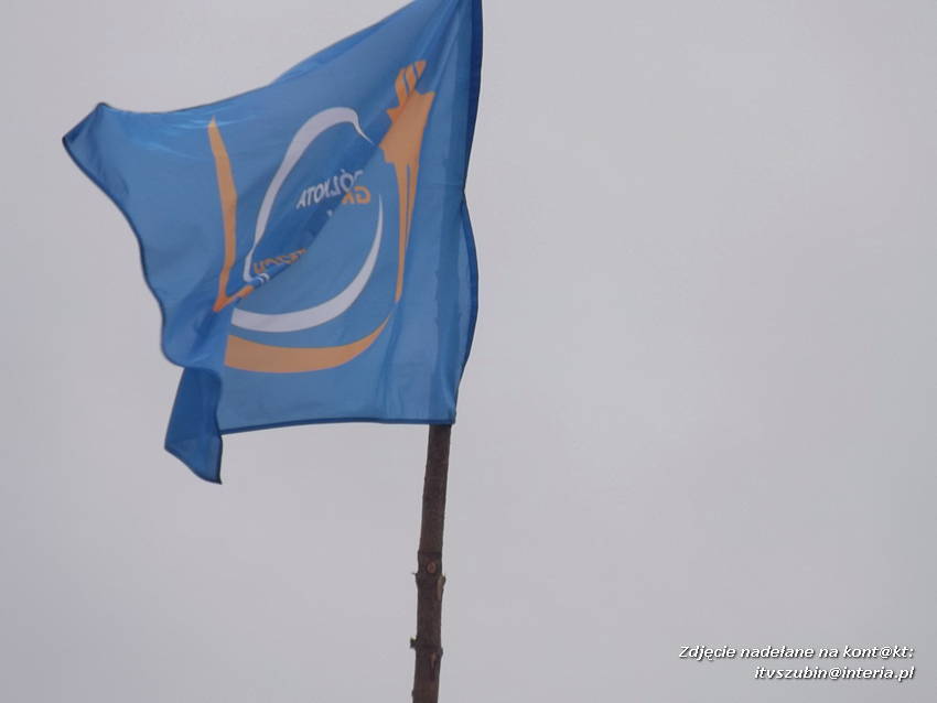 Zuchy na Zlocie Grunwaldzkim