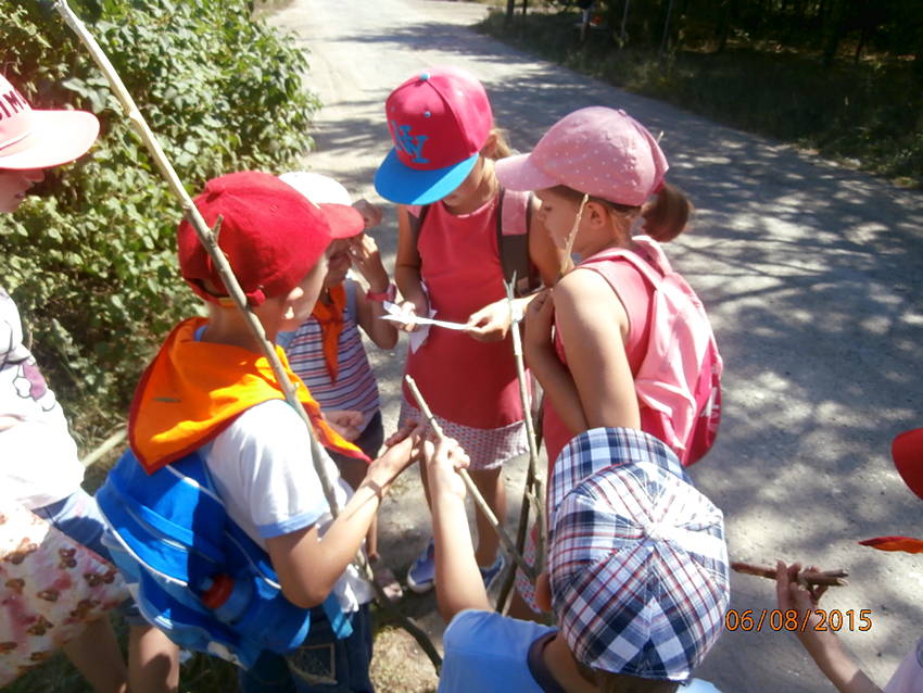 Zuchy na rajdzie pieszym