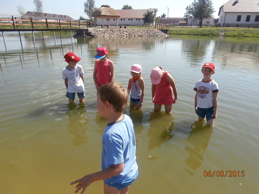 Zuchy na rajdzie pieszym