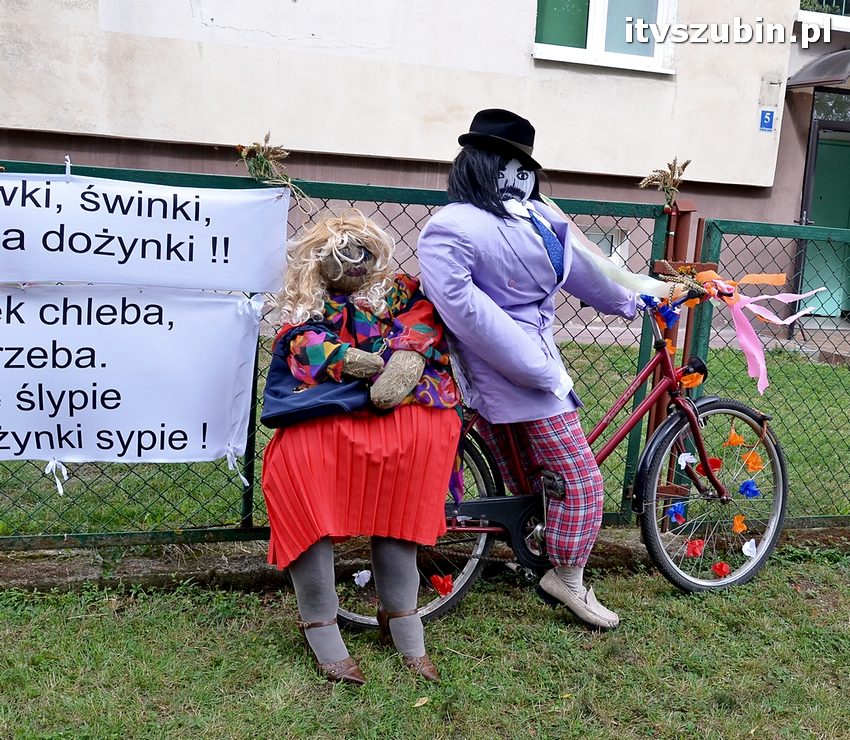 Dożynki powiatowo-gminne w Królikowie