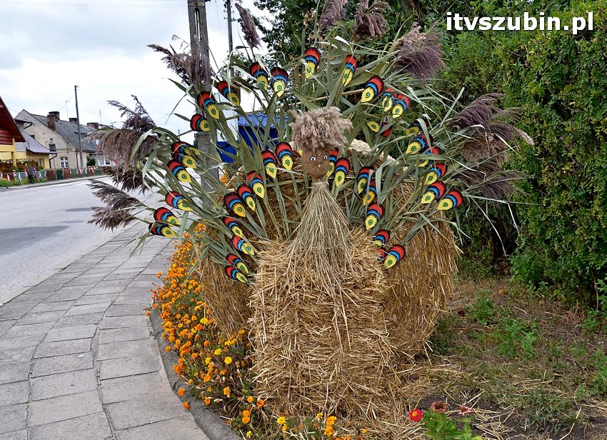 Dożynki powiatowo-gminne w Królikowie