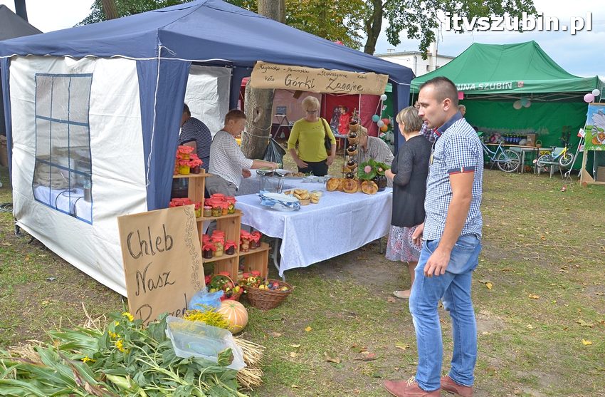 Dożynki powiatowo-gminne w Królikowie
