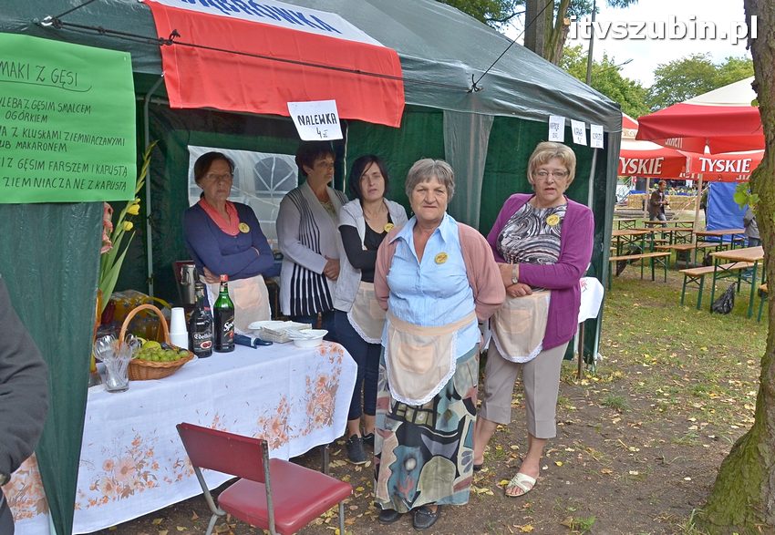 Dożynki powiatowo-gminne w Królikowie