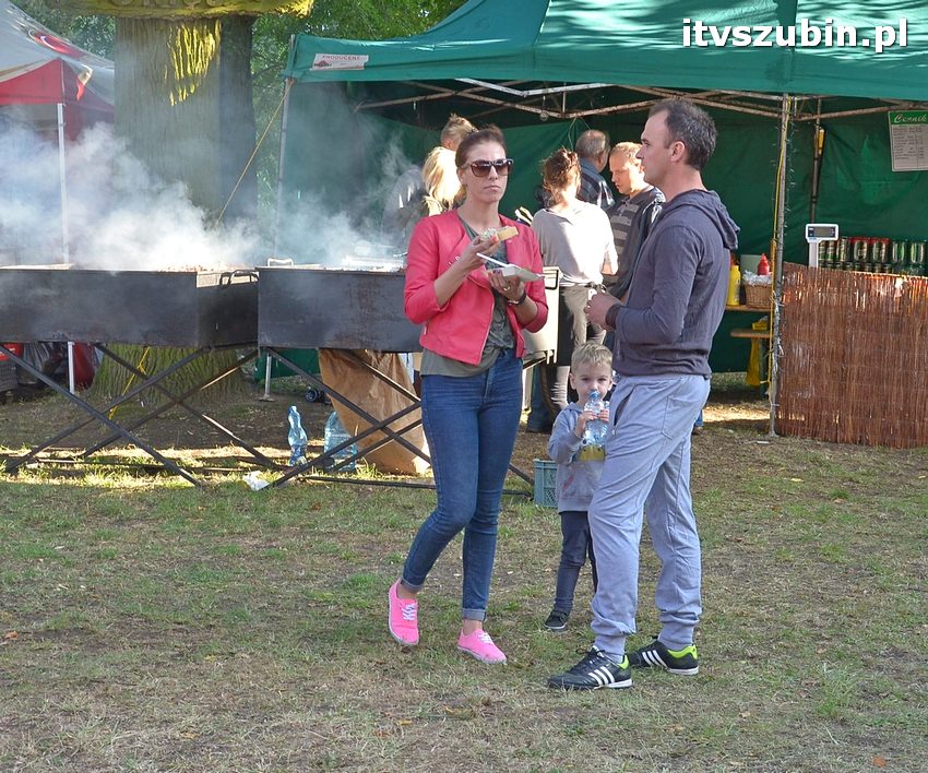 Dożynki powiatowo-gminne w Królikowie