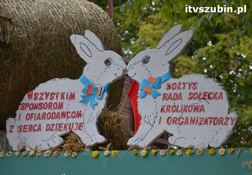 Dożynki powiatowo-gminne w Królikowie