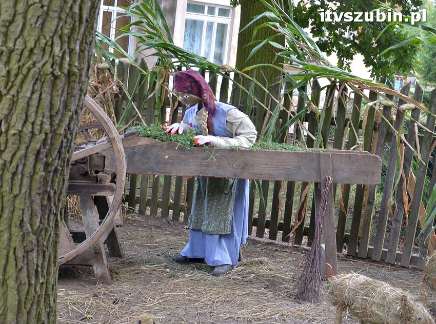 Dożynki powiatowo-gminne w Królikowie