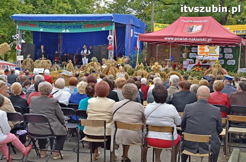 Dożynki powiatowo-gminne w Królikowie