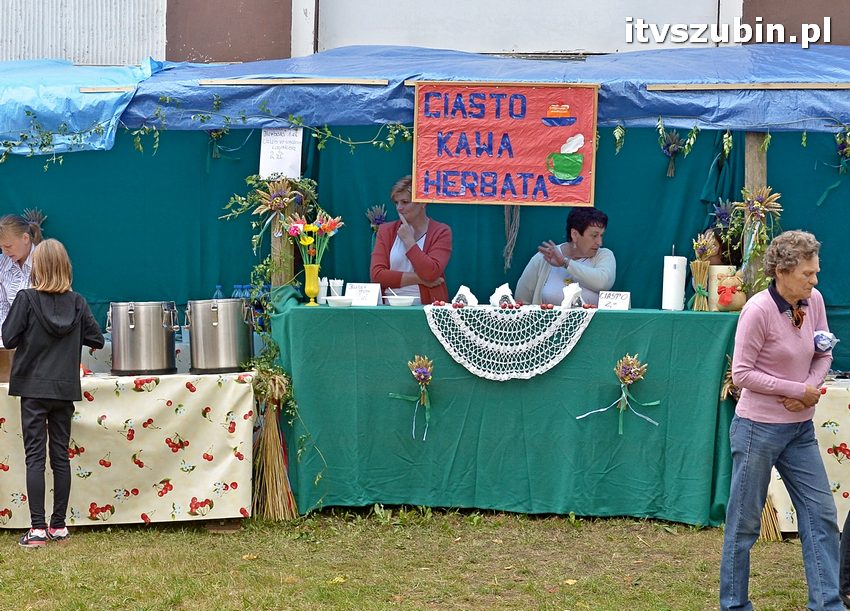 Dożynki powiatowo-gminne w Królikowie