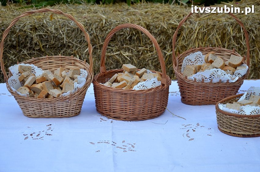 Dożynki powiatowo-gminne w Królikowie