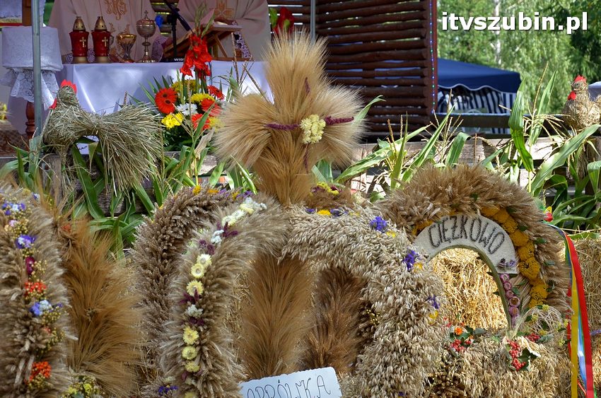 Dożynki powiatowo-gminne w Królikowie