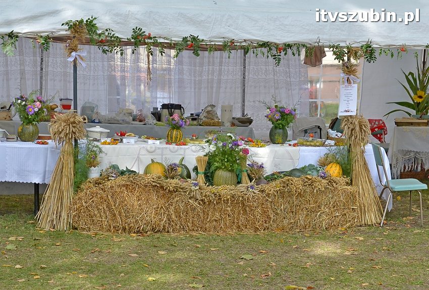 Dożynki powiatowo-gminne w Królikowie