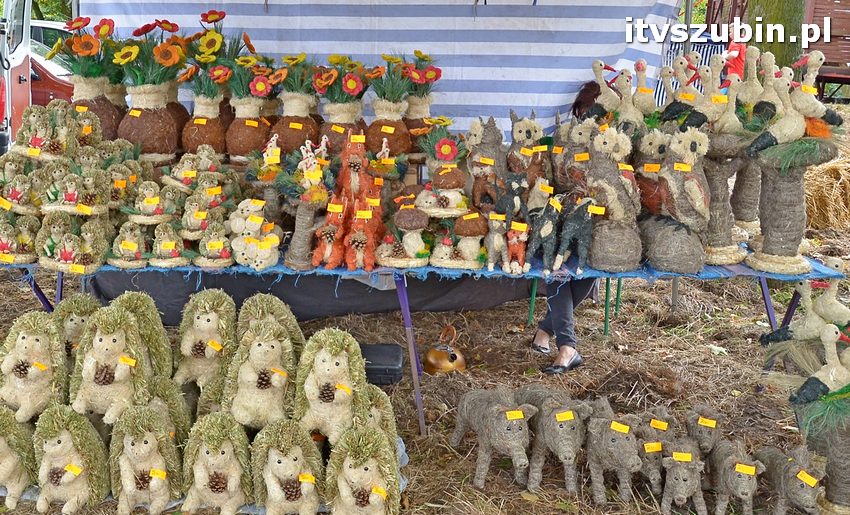 Dożynki powiatowo-gminne w Królikowie