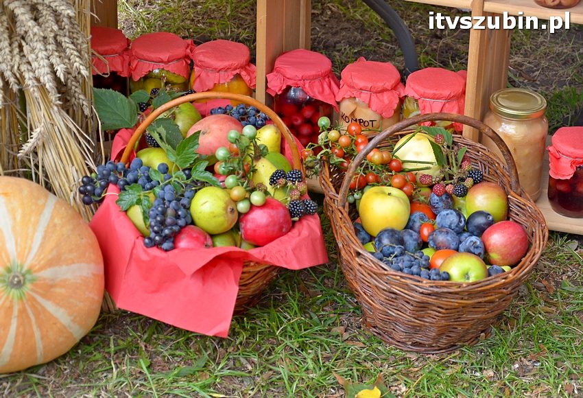 Dożynki powiatowo-gminne w Królikowie