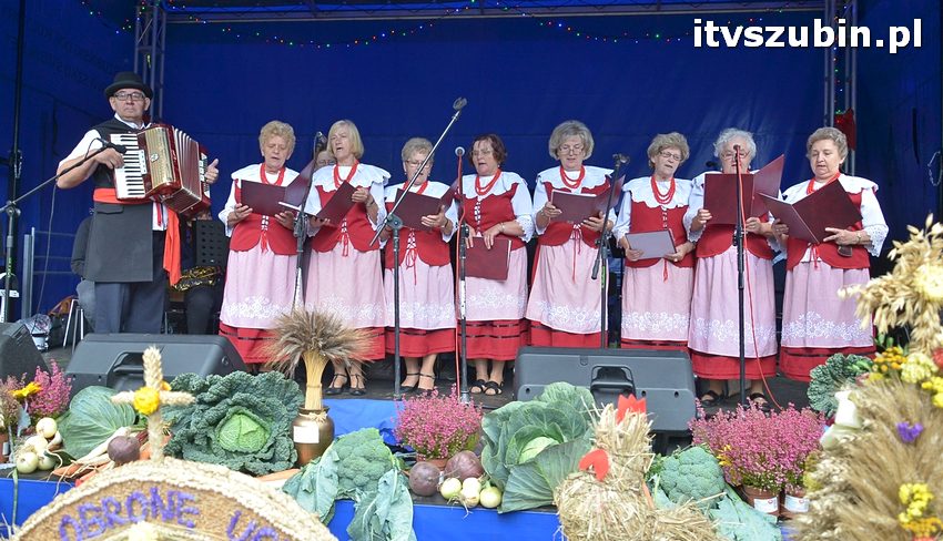 Dożynki powiatowo-gminne w Królikowie