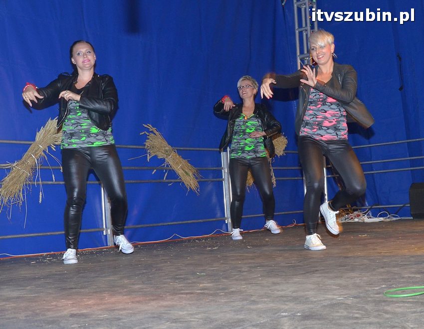 Dożynki powiatowo-gminne w Królikowie