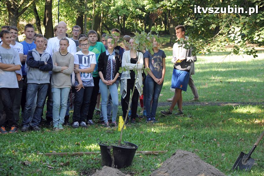 WIARA NADZIEJA MIŁOŚĆ - dęby już rosną