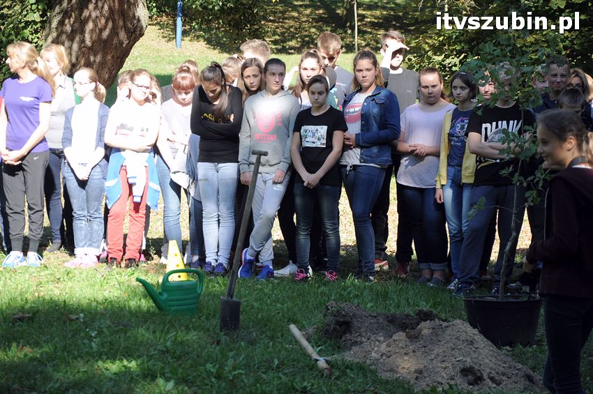 WIARA NADZIEJA MIŁOŚĆ - dęby już rosną