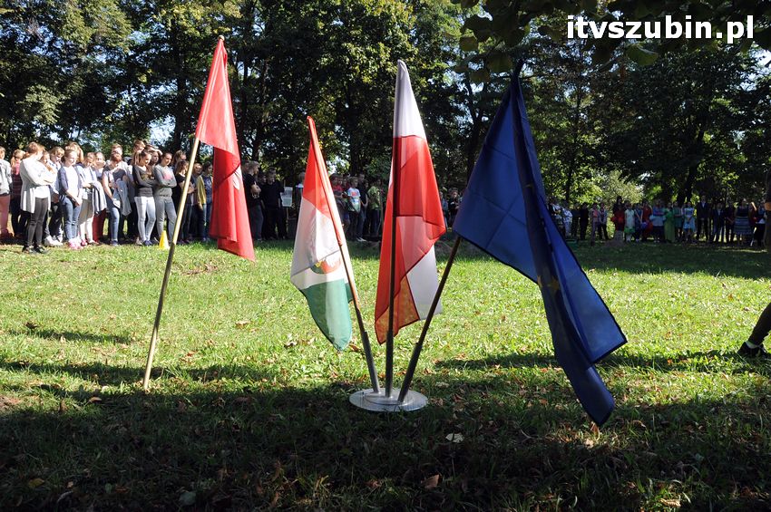 WIARA NADZIEJA MIŁOŚĆ - dęby już rosną
