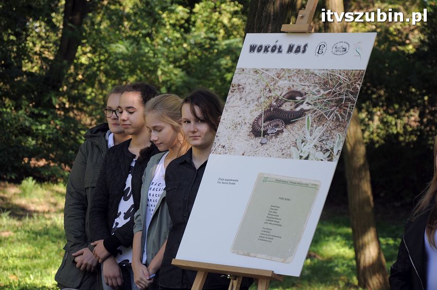 WIARA NADZIEJA MIŁOŚĆ - dęby już rosną