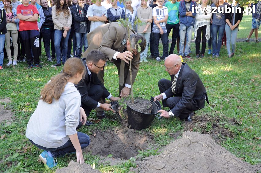 WIARA NADZIEJA MIŁOŚĆ - dęby już rosną
