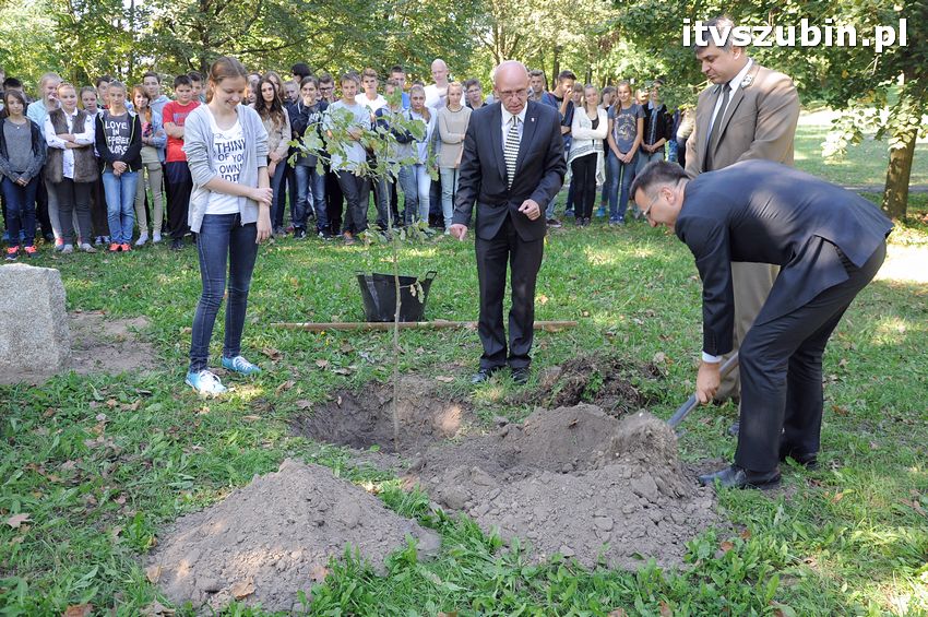 WIARA NADZIEJA MIŁOŚĆ - dęby już rosną