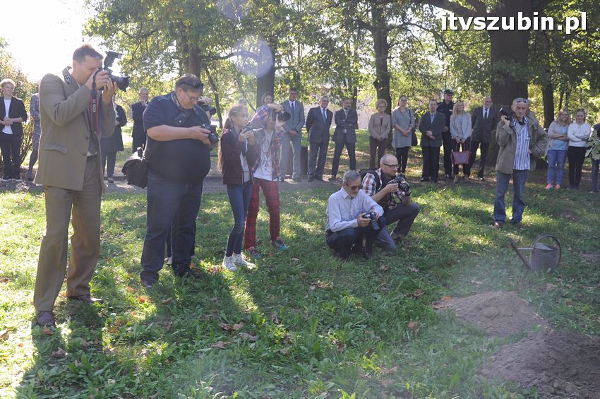 WIARA NADZIEJA MIŁOŚĆ - dęby już rosną