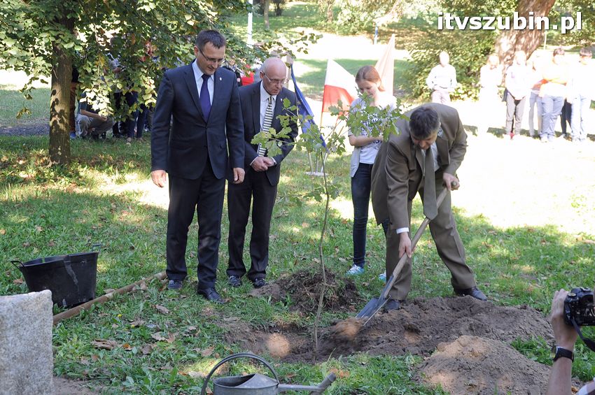 WIARA NADZIEJA MIŁOŚĆ - dęby już rosną
