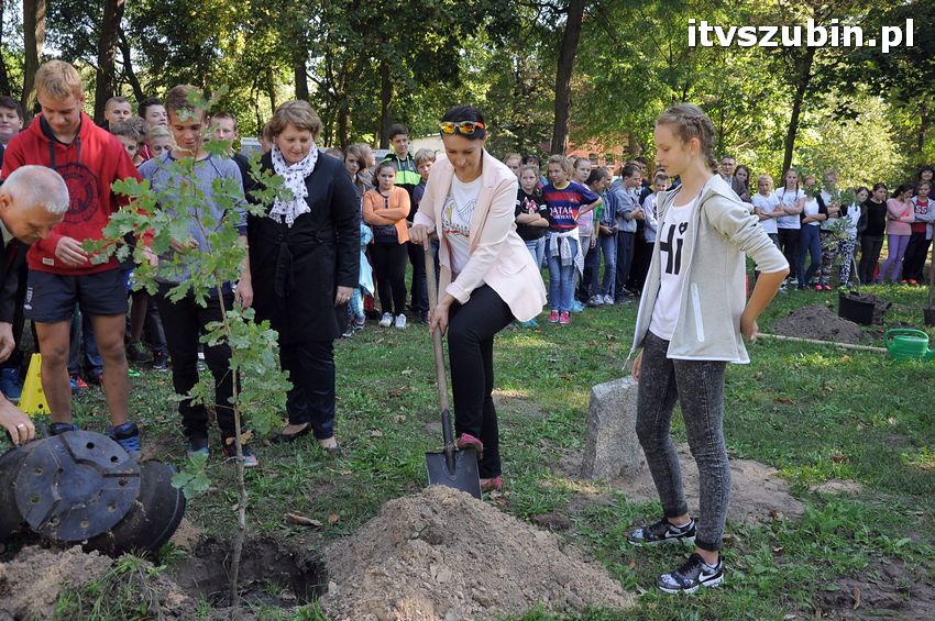 WIARA NADZIEJA MIŁOŚĆ - dęby już rosną
