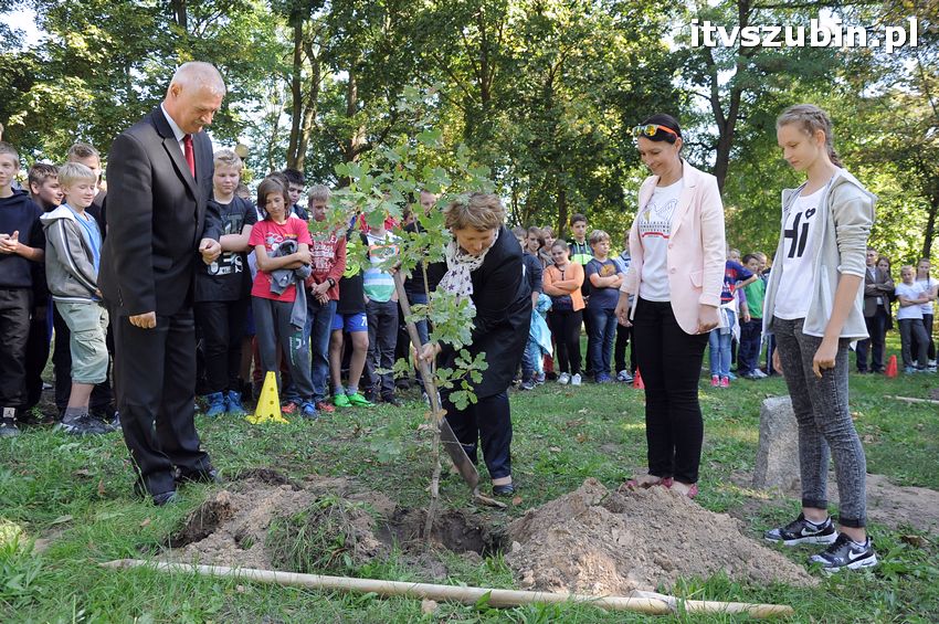 WIARA NADZIEJA MIŁOŚĆ - dęby już rosną