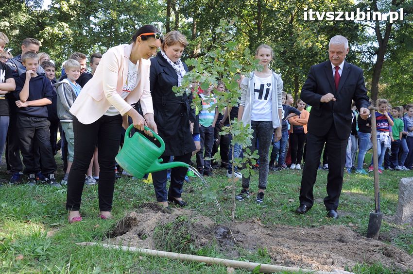 WIARA NADZIEJA MIŁOŚĆ - dęby już rosną