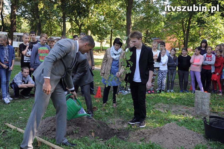 WIARA NADZIEJA MIŁOŚĆ - dęby już rosną