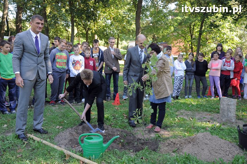 WIARA NADZIEJA MIŁOŚĆ - dęby już rosną