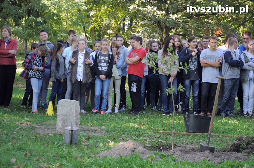 WIARA NADZIEJA MIŁOŚĆ - dęby już rosną