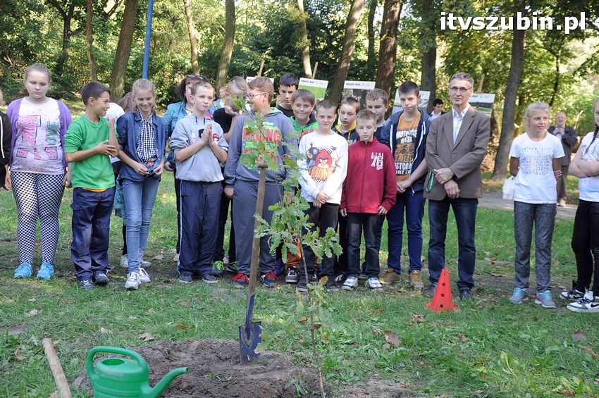 WIARA NADZIEJA MIŁOŚĆ - dęby już rosną