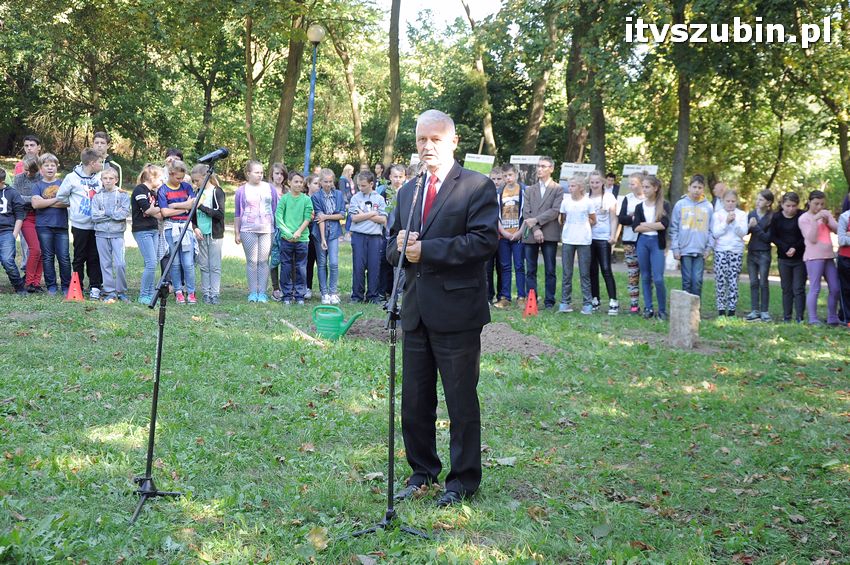 WIARA NADZIEJA MIŁOŚĆ - dęby już rosną