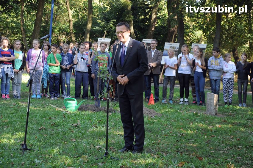 WIARA NADZIEJA MIŁOŚĆ - dęby już rosną
