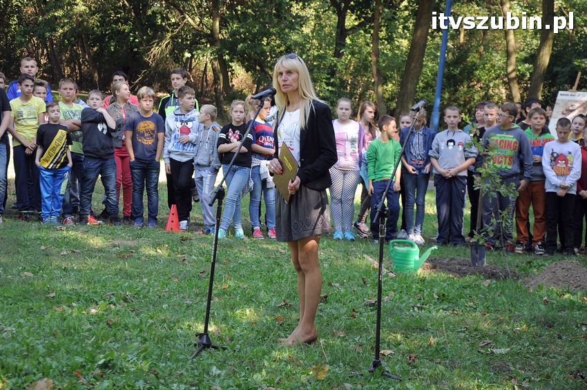 WIARA NADZIEJA MIŁOŚĆ - dęby już rosną