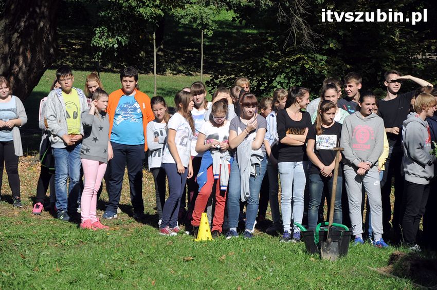 WIARA NADZIEJA MIŁOŚĆ - dęby już rosną