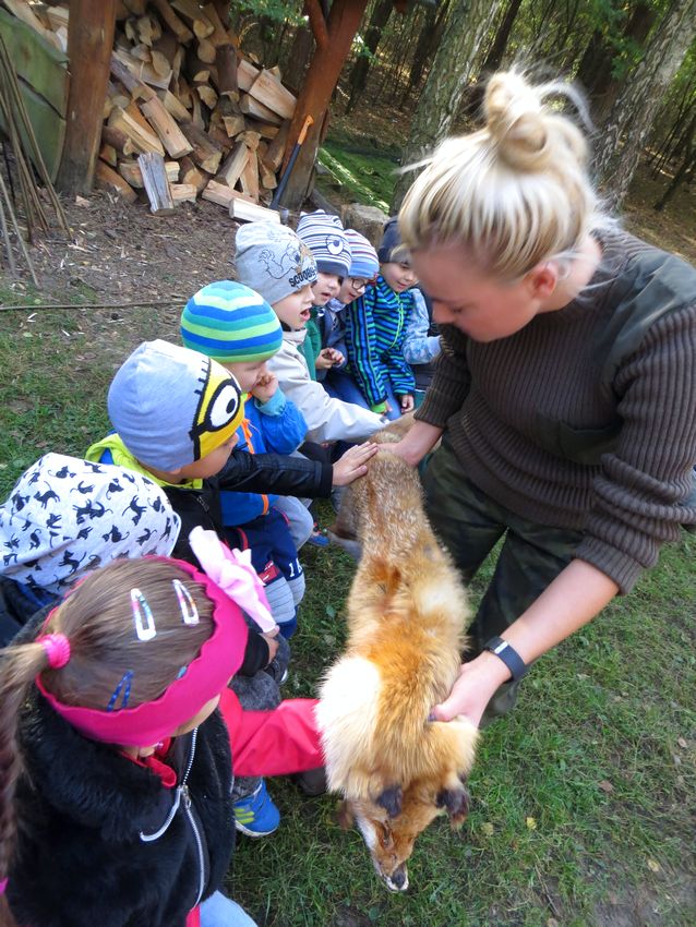 Żabki i Pszczółki z szubińskiego Słoneczka obchodziły Święto Pieczonego Ziemniaka